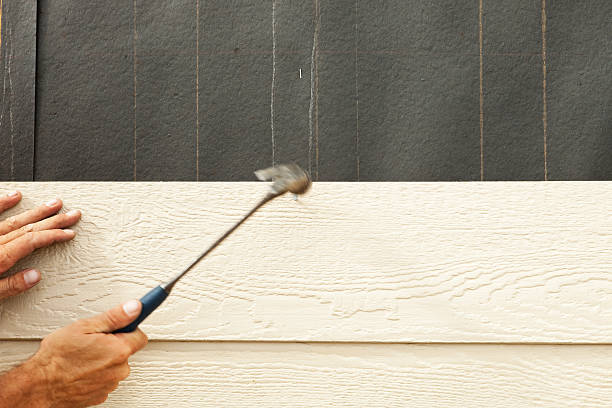 Best Engineered Wood Siding  in Los Luceros, NM