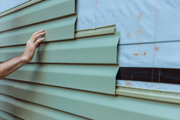 Best Vinyl Siding Installation  in Los Luceros, NM